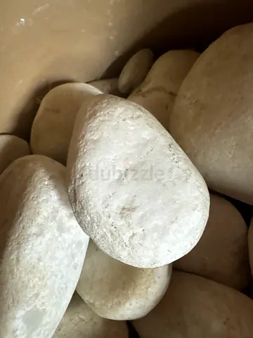 Smooth White  and black River Pebbles - Decorative Stones (Bag)