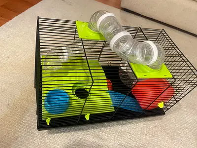 Hamster or gerbil cage