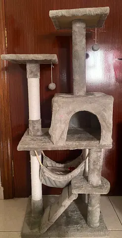 Cat house