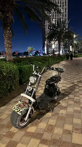Big Harley 3000w 2 batteries