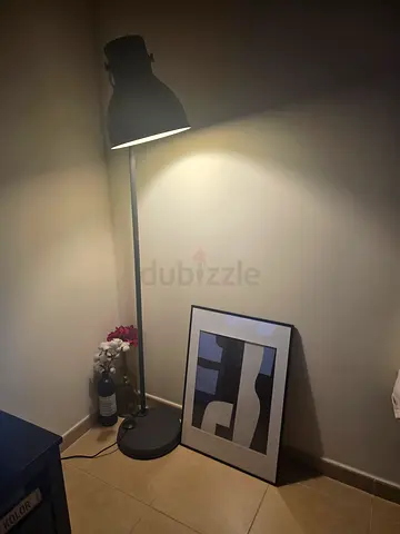 IKEA Floor Lamp – Minimalist Black Design