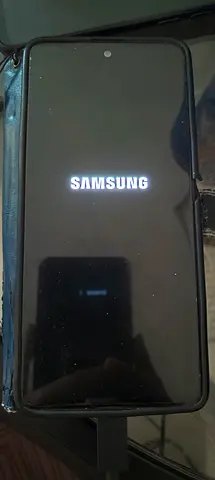 Samsung Note 10 lite with Smartphone with Protective Case and Smart pen.