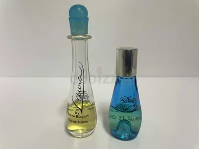 Lot of 2 Miniatures Davidoff and Laura Biagiotti Rare