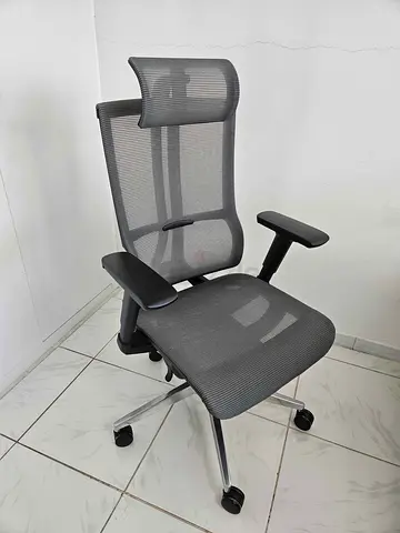 Ergonomic Mesh Office Chair with Headrest — Good Condition