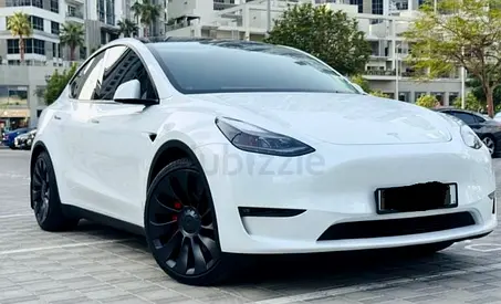 Tesla Model Y Performance 2023 GCC Specs