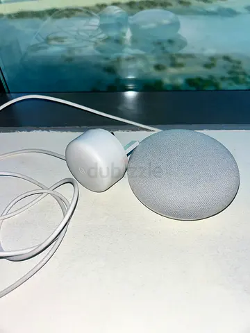 Google Nest Mini (2nd gen) with Power Adapter - Light Grey