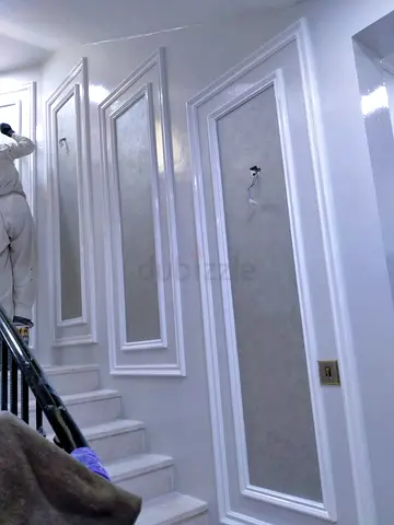 Professional painters and plumbers