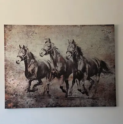 Horse Canvas Painting frame
