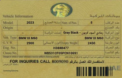 2023 BMW IX 照片 6