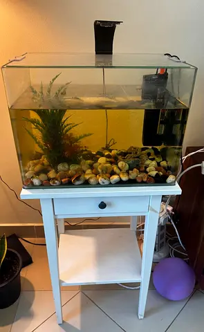 Glass aquarium with filter, heater, light and accessories + IKEA Table