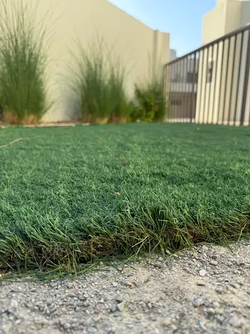 Artificial Grass Roll - Good Condition - 70sqm