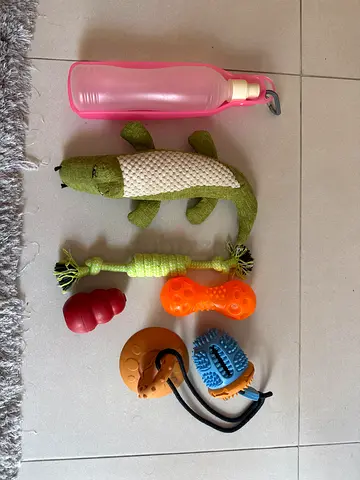 Free Dog toys