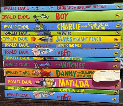 Set of 12 Roald Dahl Childrens Books - Gently Used Collection