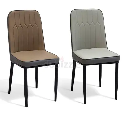 Set of 2 Modern Dining Chairs with Padded Seats and Backrests