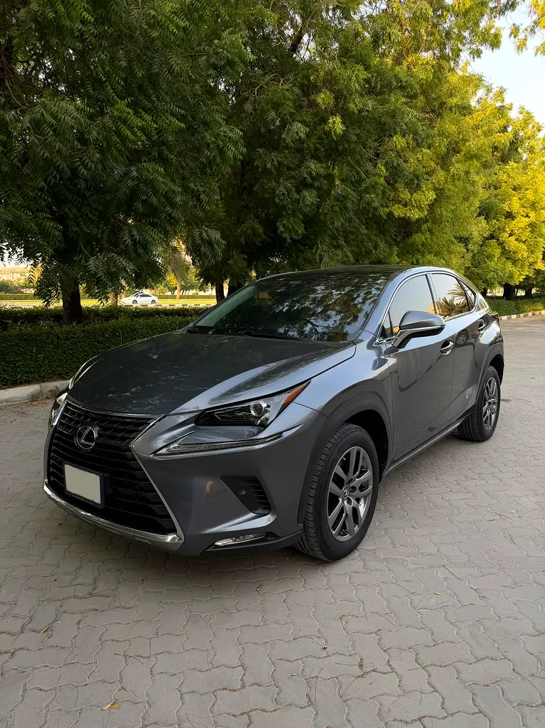 Lexus NX-Series 2021 — photo 1 of 12