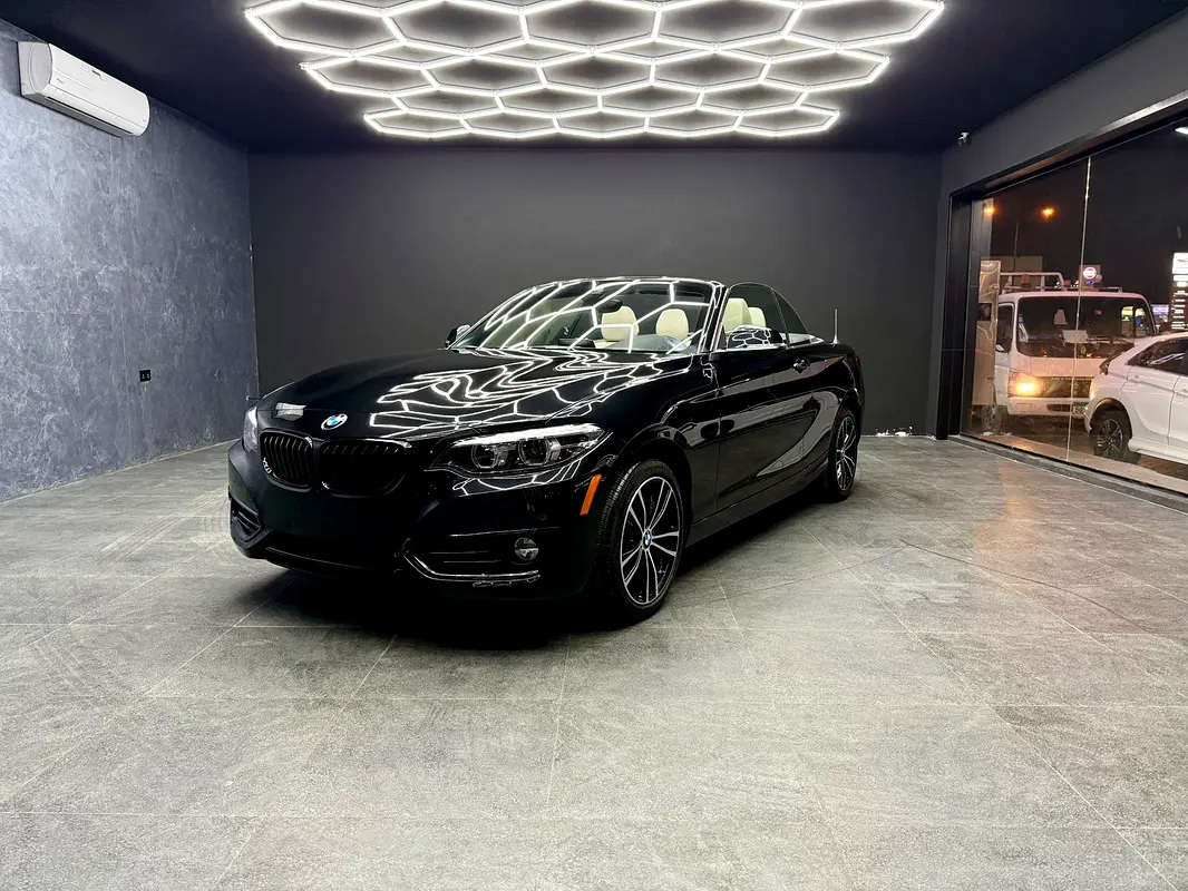 BMW 2-Series 2020 — photo 1 of 17