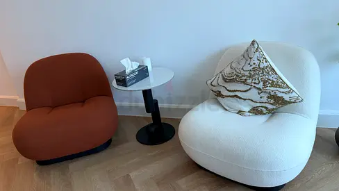 Modern Lounge Chair Set with Side Table