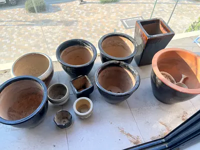 Lot of ceramic and terracotta plant pots — assorted sizes.