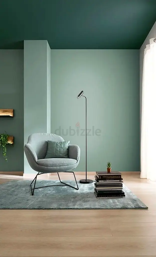 DPV_View_Image_3