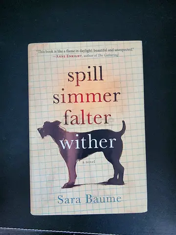 Spill Simmer Falter Wither by Sara Baume - Paperback (used)