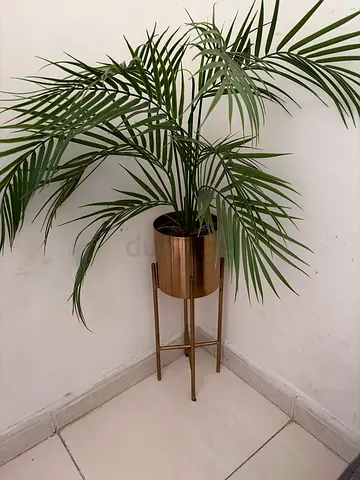 Gold metal plant pot with stand - modern decorative planter