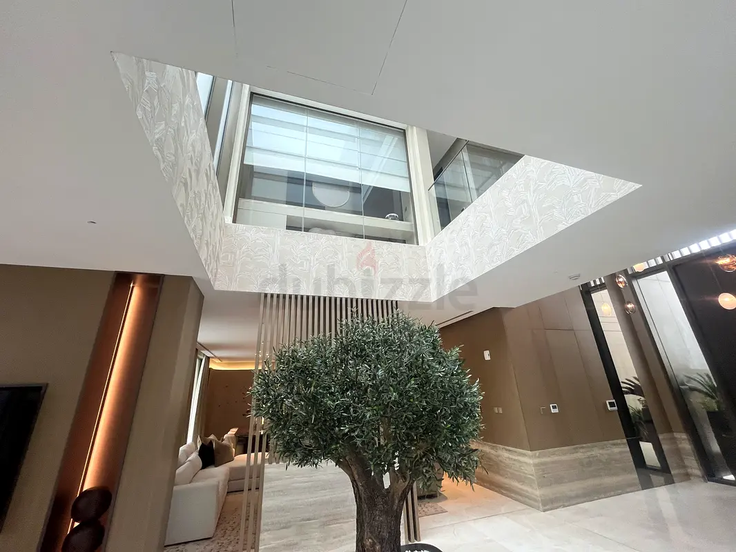 DPV_View_Image_6