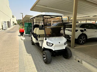 Golf buggy cart - Great condition, hardly used