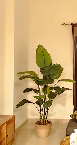 Large artificial plant (Strelitzia) plant in ceramic pot - used