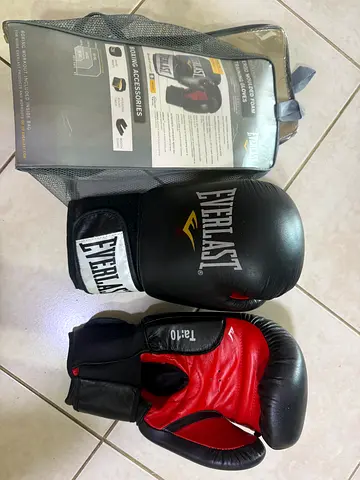 Everlast Boxing Gloves - Pair with Carry Bag, Good Condition