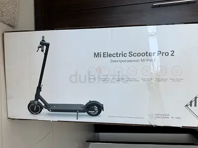 Electric scooter