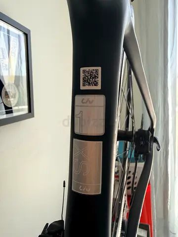 Liv Road Bike Frame (XS) - Never used.