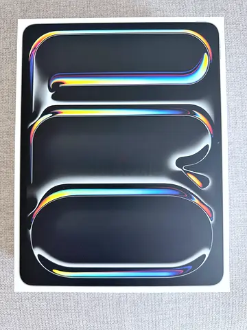 Ipad pro 13 M5 256 wifi + cellular