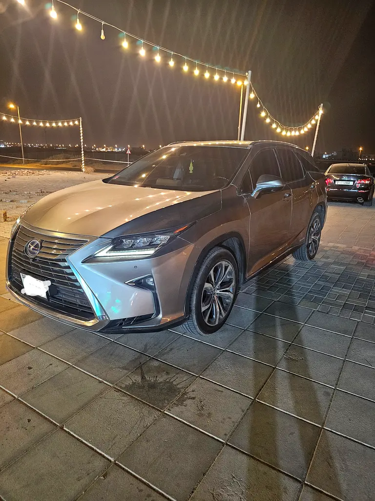 Lexus RX-Series 2018 — photo 1 of 8