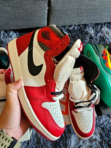 Air Jordan 1 High OG Lost and Found 10us and 9.5us