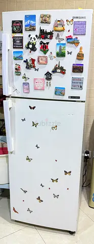 Samsung Double-Door Refrigerator