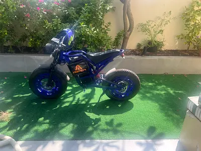 E bike 99 km