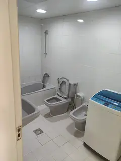 Looking for executive bachelor for Master bedroom