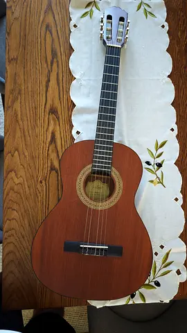 Classic Guitar The Samick CNGS6-1/NS