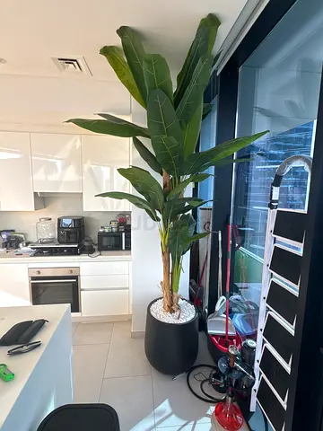 Artificial Plant