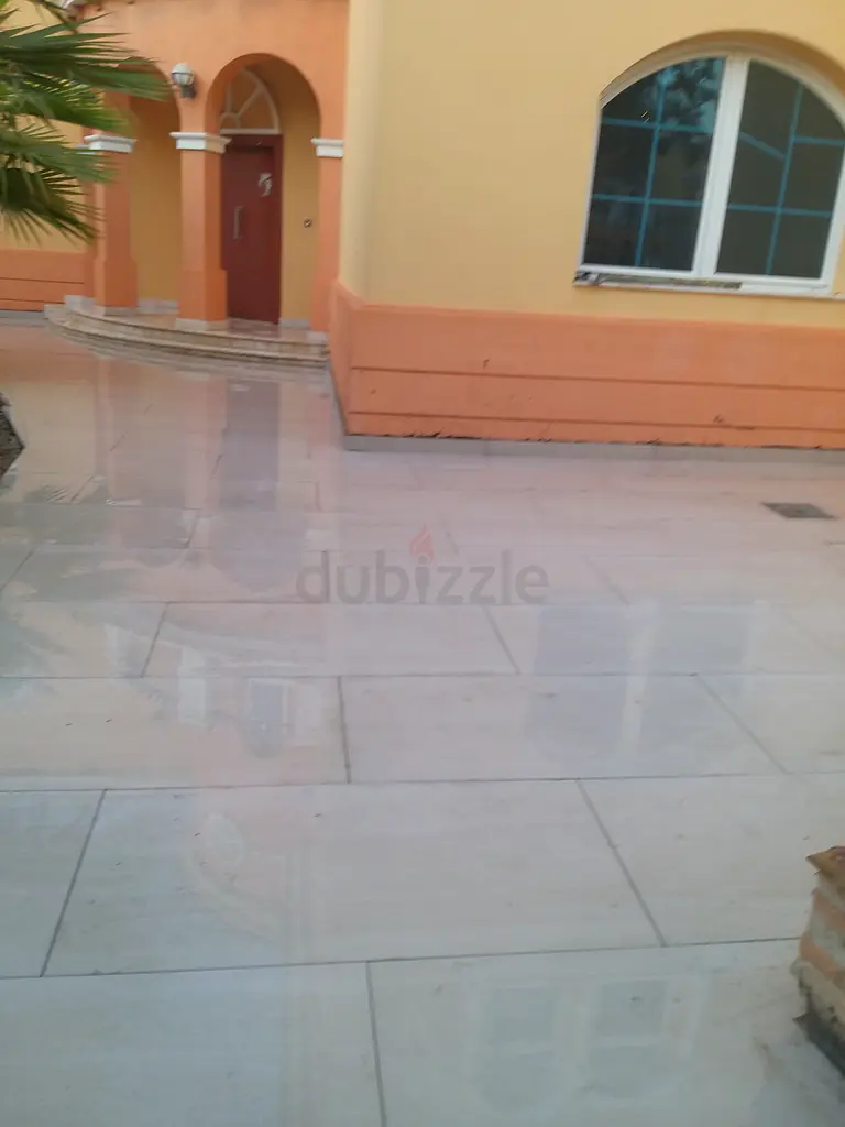 DPV_View_Image_0