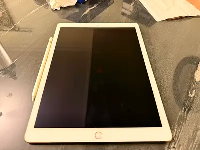 Apple iPad Pro 2nd Generation (Gold) with Apple Pen