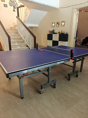 Table Tennis Table