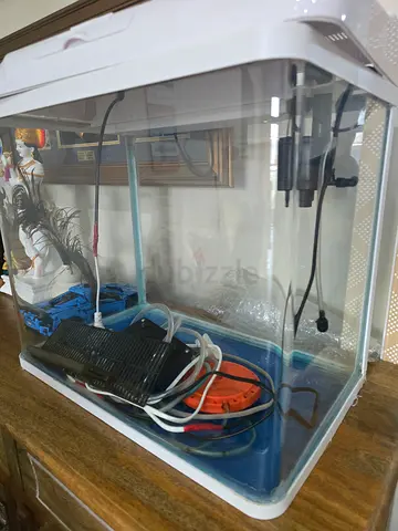 Used Small Glass Aquarium Tank with Filter and Accessories