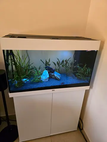 Juwel Aquarium + Cabinet / Stand in white - good condition