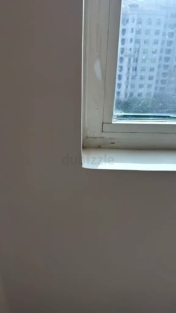DPV_View_Image_0