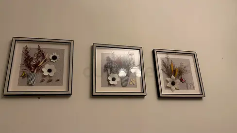 URGENT SALE! Set of 3 Framed Modern Floral Abstract Prints and 2 big picture frame