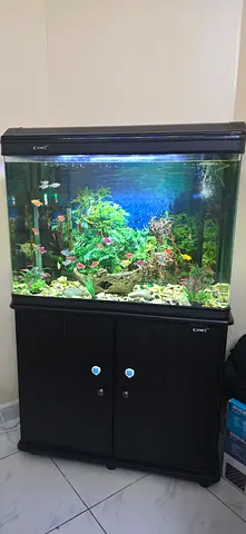 Complete 80cm Fish Aquarium with Cabinet, Filter and Lighting