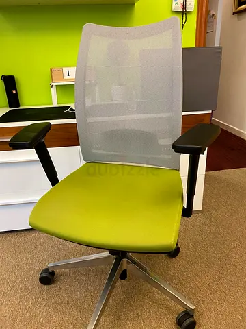 Ergonomic Office Chair with Mesh Back and Adjustable Arms