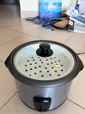 Electric Steamer / Rice Cooker with Glass Lid - excellent Working Condition