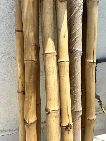 Urgent - 
Selling national bamboo sticks 
3 meters long ( 10 pieces) -350 aed 
Pick up from Al Bars